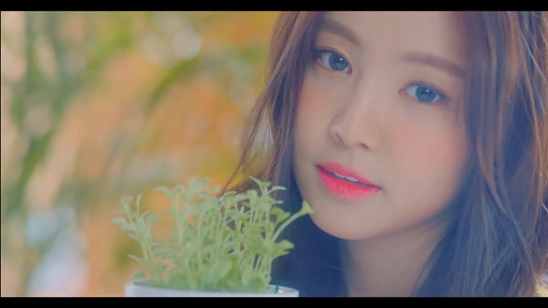Apink