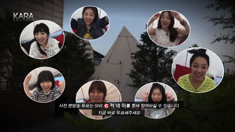 KARA PROJECT #2-45