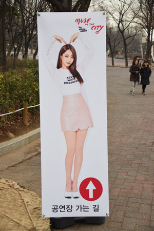 Nine Muses