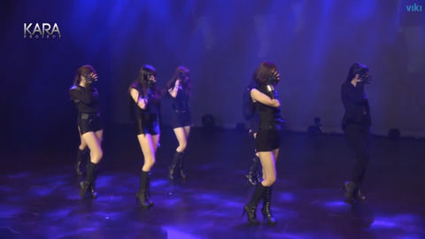 KARA PROJECT #5-8