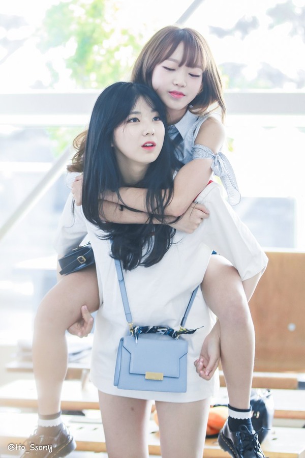 I.B.I