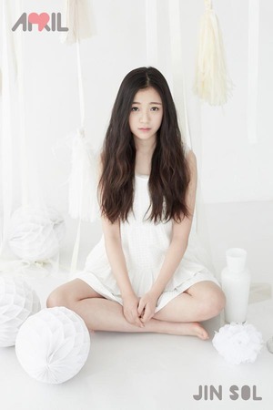 ジンソル
