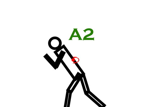 A2横