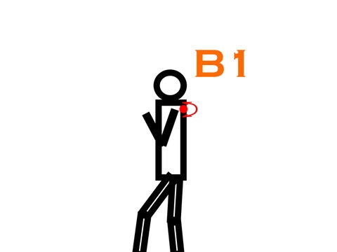 B1横