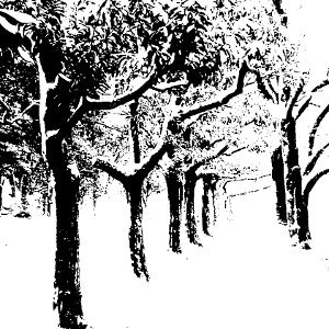 l4