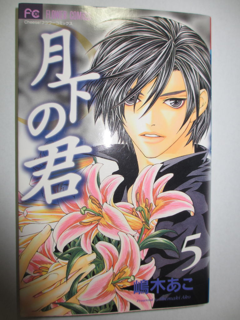 月下の君 嶋木あこ著 小学館フラワーコミックス コミック本 気になったら読んでおこう 月下の君 嶋木あこ著 小学館フラワーコミックス コミック本 気になったら読んでおこう