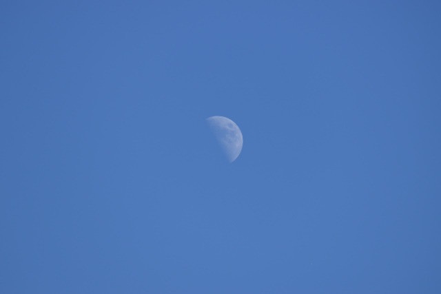 D35_0004