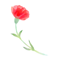 カーネーション水彩風手描きイラスト