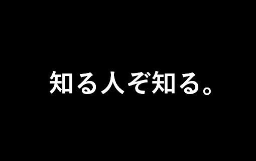 【知る人ぞ知る！】誰でも今すぐマイルを貯める秘密の裏ワザ。ブログ村1位がおススメする貴方にも今すぐ実行可能なマイルやお小遣いを貯める方法を解説します。