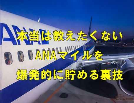 2019年最新情報！ANAマイルを爆発的に貯める裏ワザ！最短ルートのポイントサイトで陸マイラ―の年間21万ANAマイルの貯め方を公開！！