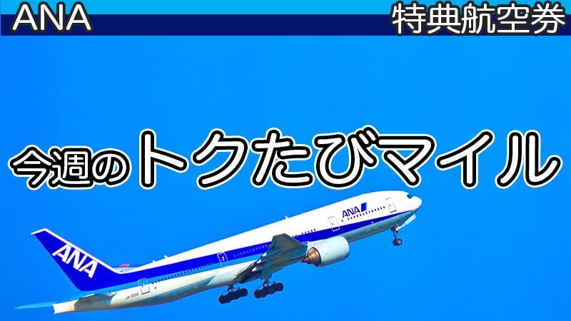 [ANA]今週のトクたびマイル(2023年12月19日発表分)