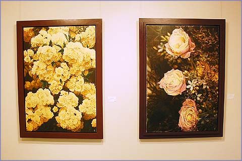 色鉛筆で描く花の世界