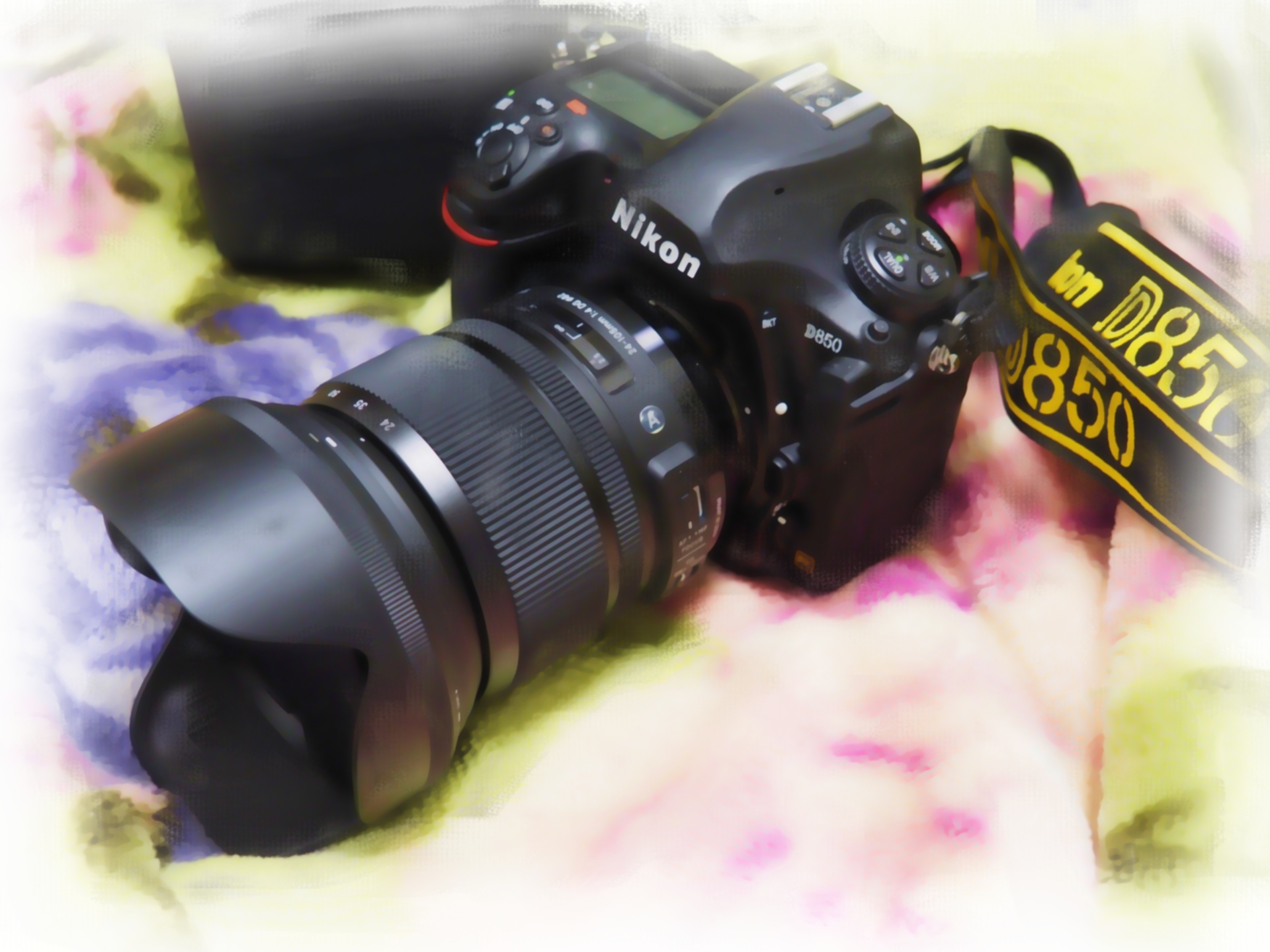 18 フォトグラフ超私的アワード The Miscellany By Izumi Chan 18 フォトグラフ超私的アワード The Miscellany By Izumi Chan