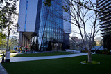 DSC1306_01