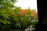 DSC8702_01