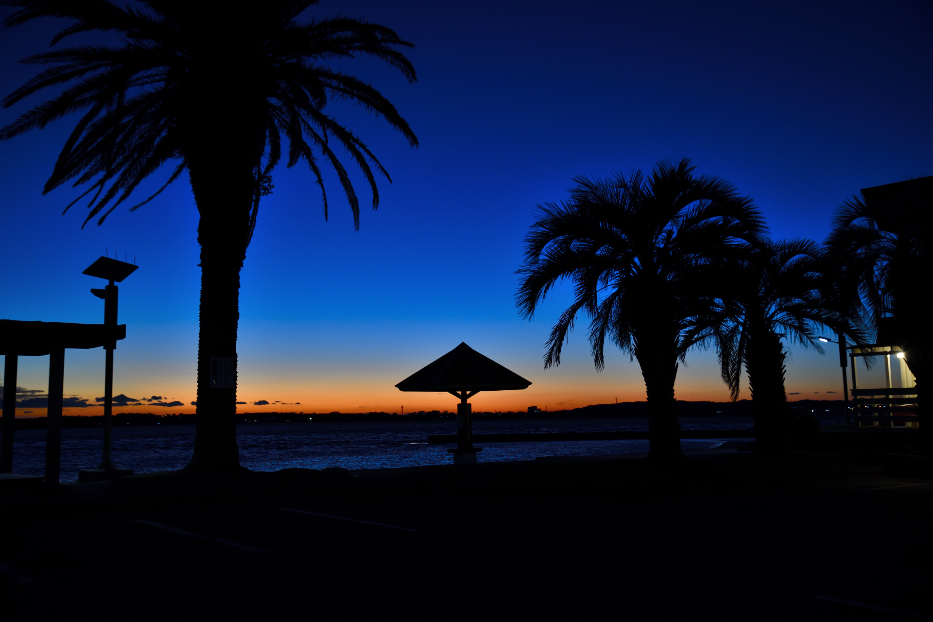 夕日爛漫 赤鳥居 The Miscellany By Izumi Chan