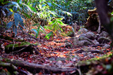 DSC9515_01
