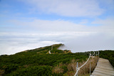 DSC8970_01