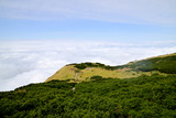 DSC9051_01
