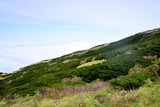 DSC9033_01
