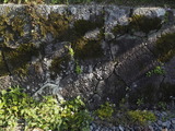 _5250071