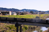 DSC3774_01