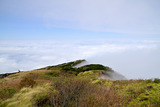 DSC9011_01