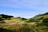 DSC9061_01