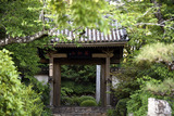 _DSC2946_00001
