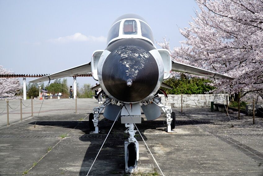 イメージ 7