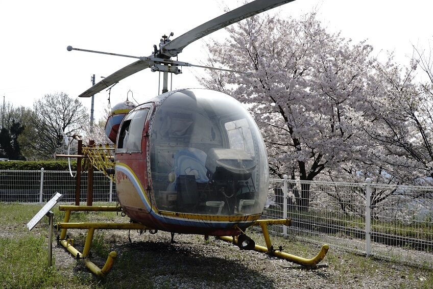 イメージ 13
