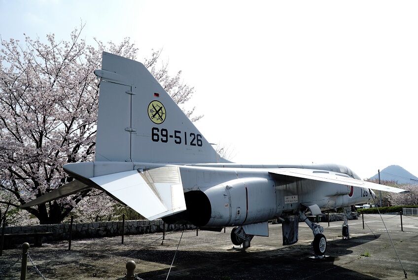 イメージ 8