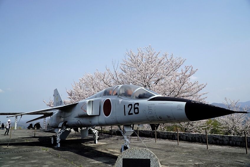 イメージ 5