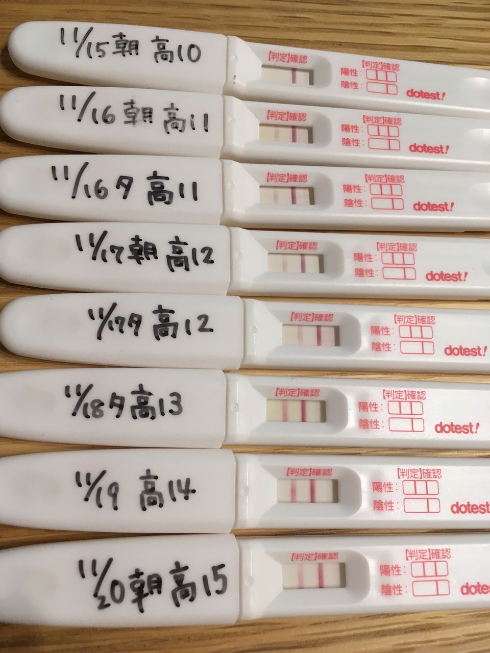 ブログ フライング 検査