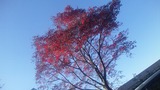 111213_125301 (2)