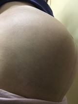 IMG_0480