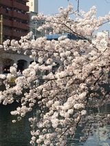 IMG_3385