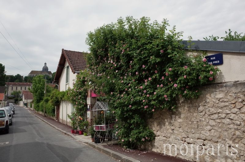 R0007965 - コピー