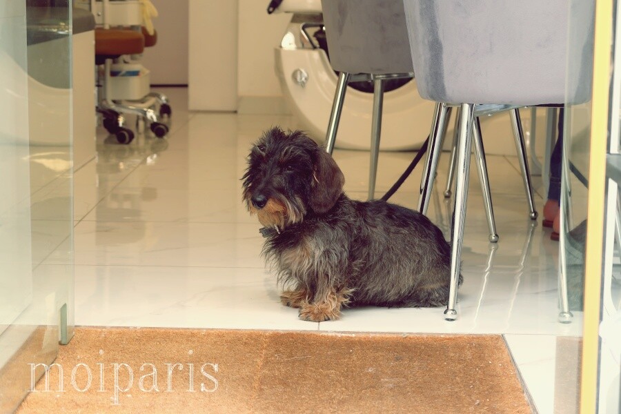 IMG_9045 - コピー