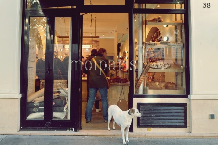 IMG_1106 - コピー