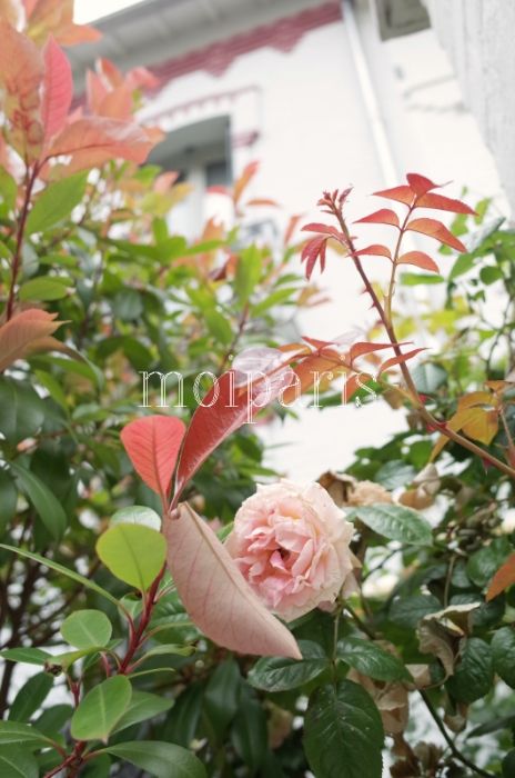 R0008762