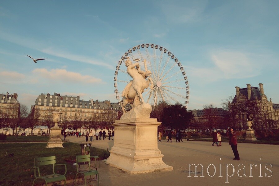 IMG_7375 - コピー