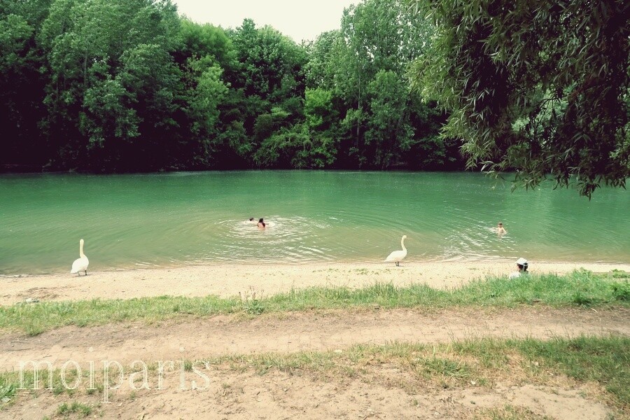 IMG_9219 - コピー