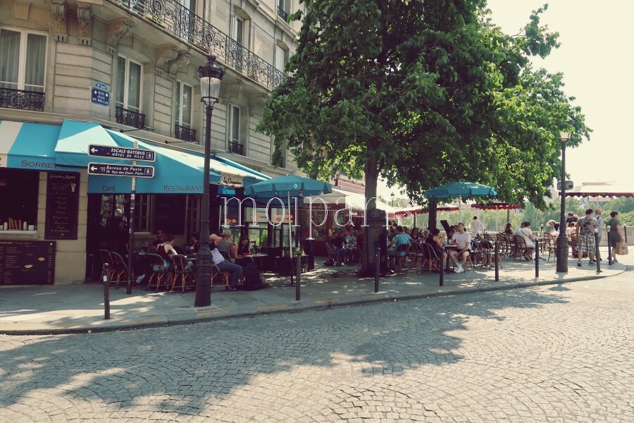 IMG_0208 - コピー