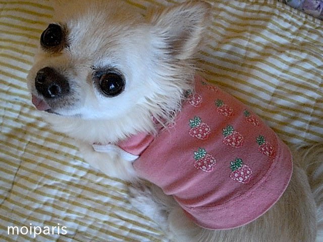 zhOVlX4LuADmALW1519110605_1519110723[1]