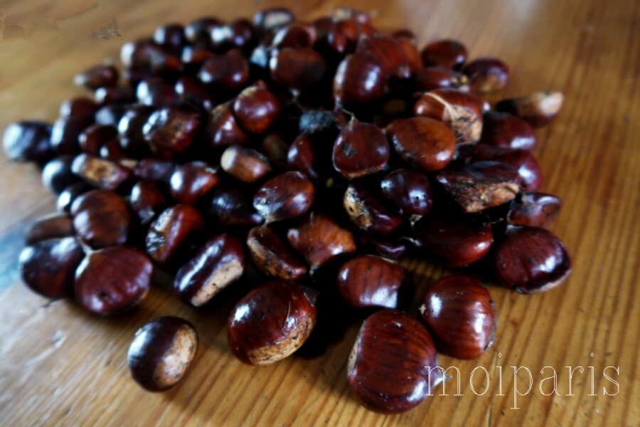 IMG_1508 - コピー