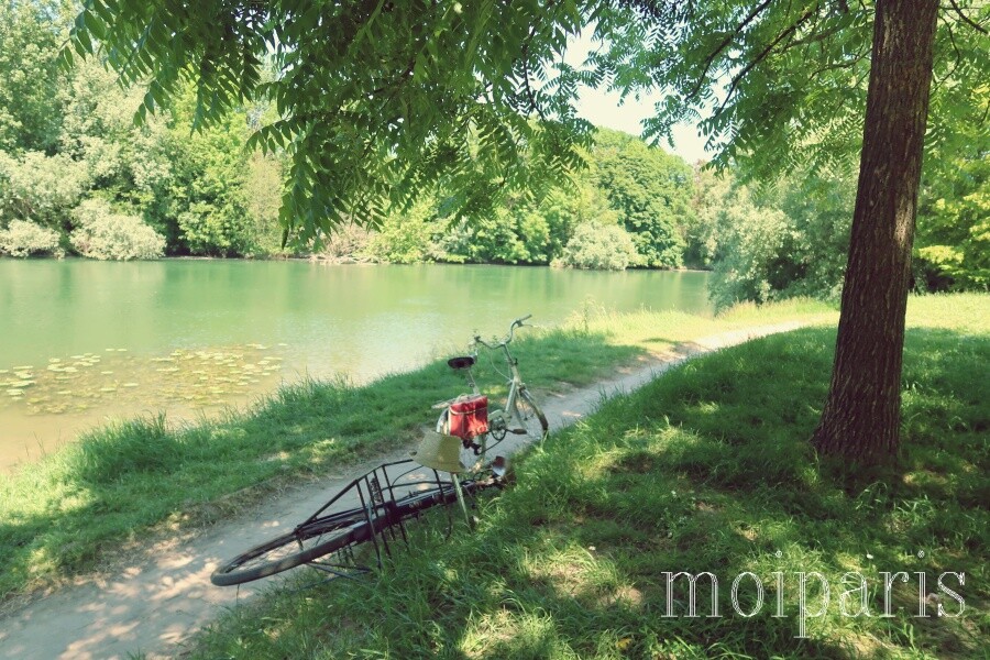 IMG_8846 - コピー