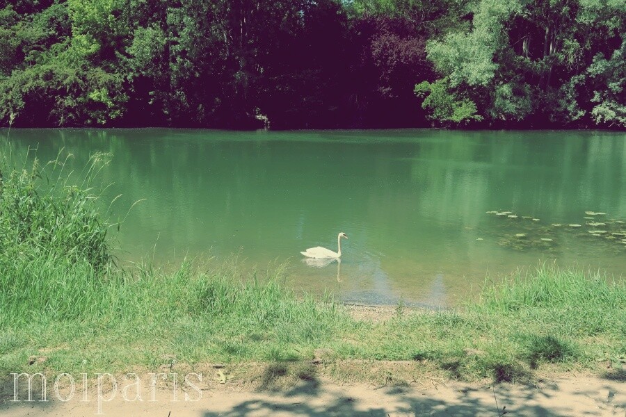 IMG_8848 - コピー