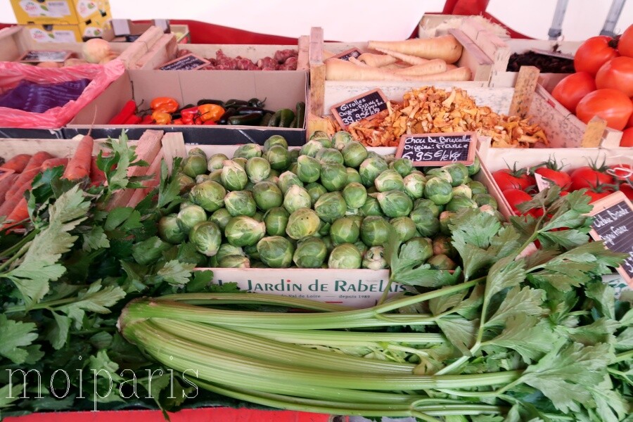 IMG_1999 - コピー