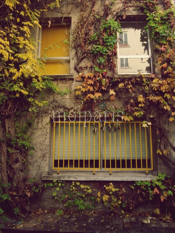 R1117829 - コピー